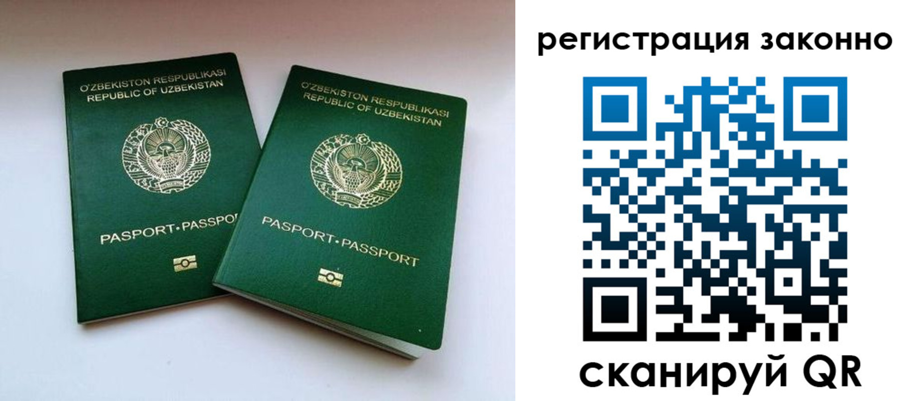 прописка гарантия в Мурманске